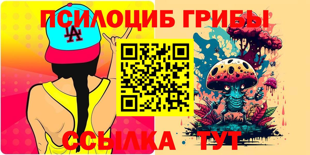 Кинель  Галлюциногенные грибы Cubensis  Вход с VPN  Галлюциногенные грибы Psilocybine cubensis 