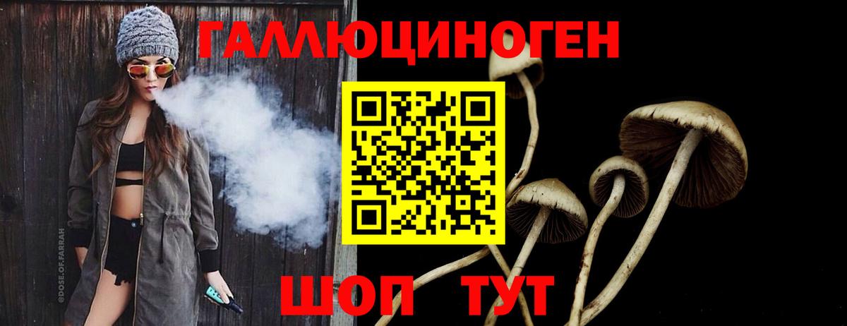 Галлюциногенные грибы GOLDEN TEACHER Кинель